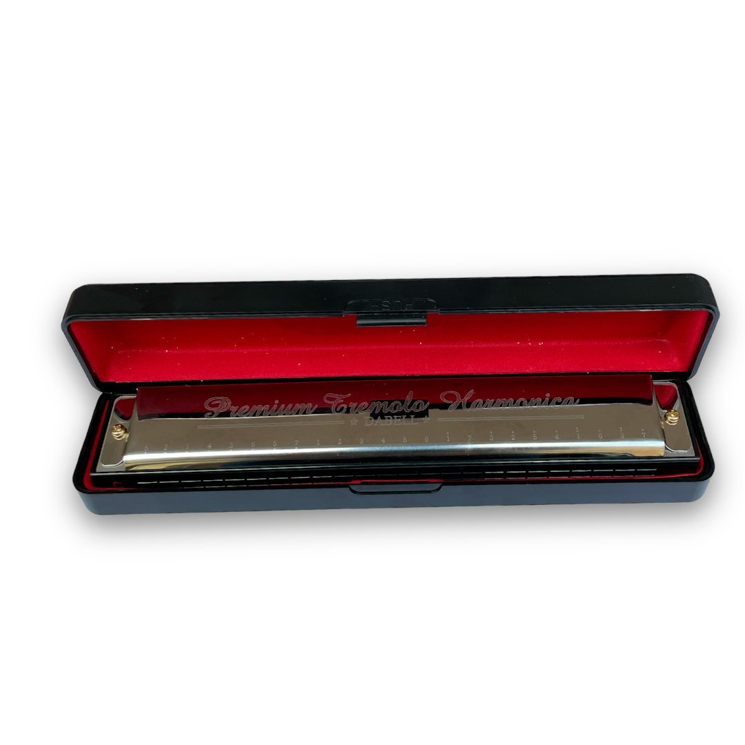 ARMONICA MORNING GLORY